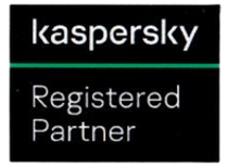 Kaspersky Registered Partner Award